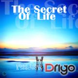 DRIGO - THE SECRET OF LIFE