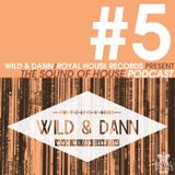 The Sound of House #5 podcast with Wild & Dann
