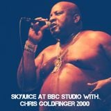 SkyJuice at BBC with Chris Goldfinger 2000