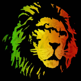 2015 Slinky Dubby Ragga Rasta Mix 2015