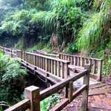 Perila trip 10
