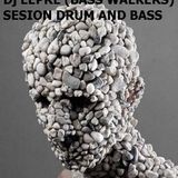 Dj Lepre (BASS WALKERS) Sesion D&B 14/04/12