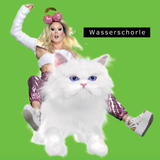 Popkicker @ SchwuZ, Oct 2015