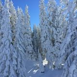 winterzauber I/2015