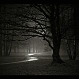Dismal Expedition