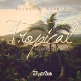 Sounds of Summer - Tropical Relaxing Deep House Mix 2015