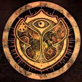 Neon at Tomorrowland BE 24/07/15 Blue Flame Stage