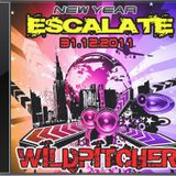 31.12.2011 WILDPITCHER @ "New Year "ESCALATE" Postkutsche Mattse/AUT