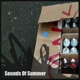 NALLSTRADAMUS - SOUNDS OF SUMMER