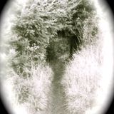 Halloween_2012_mix