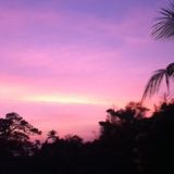SF Mix For Tropical Transit Radio Bali Mix #SFAT12