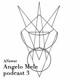 Podcast 3 Answer By Angelo Mele
