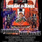 SuBuRbASs Live @ Dream & BaSs with Kaltatribe_near-Nancy/France_12/01/2013