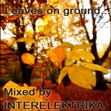 Tanzengehen Podcast #7: Interelektrika - Leaves on ground...