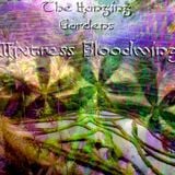 Mixtress Bloodwing - The Hanging Gardens