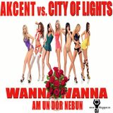 Dj Clau - Wanna Wanna Am Un dor Nebun (Extended Mix)