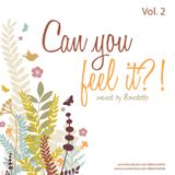 Benedetto - Can You Feel It ?! Vol.2