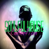 SPIRITS OF SOULFUL HOUSE 01/2016 - DJANE AMS