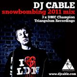 Snowbombing 2011 Mix