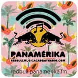 Red Bull Panamérika No. 342 - Mi camisa de palmeras