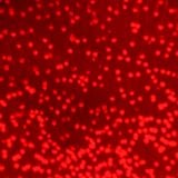 Tiefenrausch #037: Blut