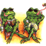 Dj Frogg - In The Mood For Summer