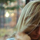 The Ubiquitous Ambiguous Vol. 4 - Mixed by RTS