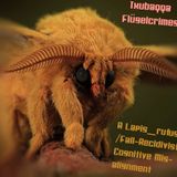 Txubaqqa Flügelcrimes: A Lapis_rufus/ Fail-Recidivist Cognitive Mis-alignment
