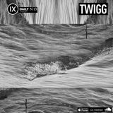 IX Podcast 13: TWIGG