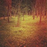 A beautiful night out in the country