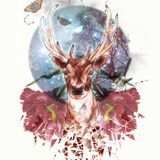 THE HOUSE OF THE DEER # 002
