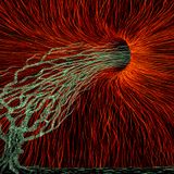 Central Void (demo set)