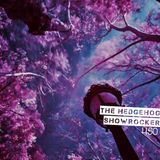 The Hedgehog - Showrocker 450 - 08.08.2019