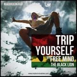 TRIP YOURSELF (2012)
