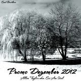 Promo Dezember (03.12.2012) // Weihnachten zu House