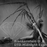 Blankenstein @ DTD.Midnight express 13/2/2016