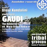 LIVE EXCLUSIVE - GAUDI + Steve Kundalini On The Sun Drenched Tribal Grooves Show - WARPStage Radio