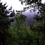 _detergent_thunderstorm