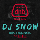 arena-dnb-radio-show-vibe-fm-mixed-by-DJSnow-16-July-2013