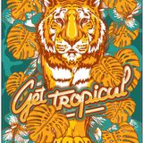 Rafael Aragon - Get Tropical Mini Mix