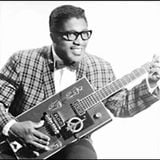 National Bo Diddley Day