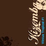 Vilnius Tropical #1 - Kizomba