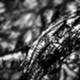 "Bothered Ways" by Digitus Infamis. Improvised precussion solo recorded in 1997, processed 2004.