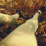 herbst-zeit-los