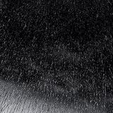 Dark Rain