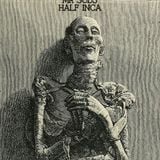 Half Inca