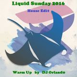 Liquid Sunday 2016 Warm Up Mix by DJ Orlando (House Edit)