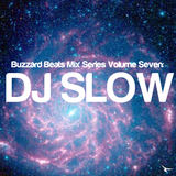 Buzzard Beats Mix Series Volume Seven: DJ Slow