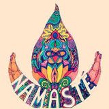 LeiseFuchs! (Tabha Records Germany) ProgressivePsyTrance- promo mix for Peoples Club! Anytime, Goa-t