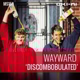 DISCOMBOBULATED by Wayward